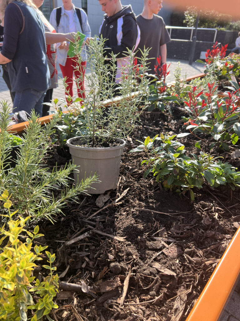 Teenagers planting plants in an orange planter