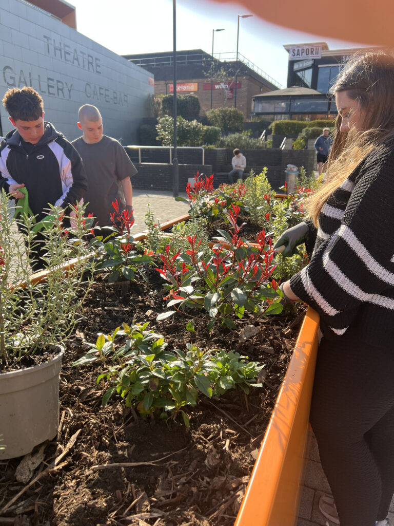 Teenagers planting plants in an orange planter