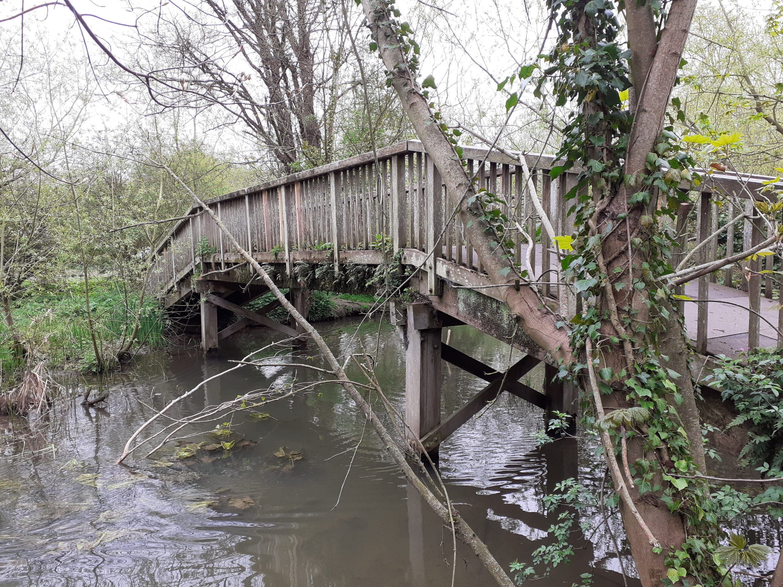 bridge over stream