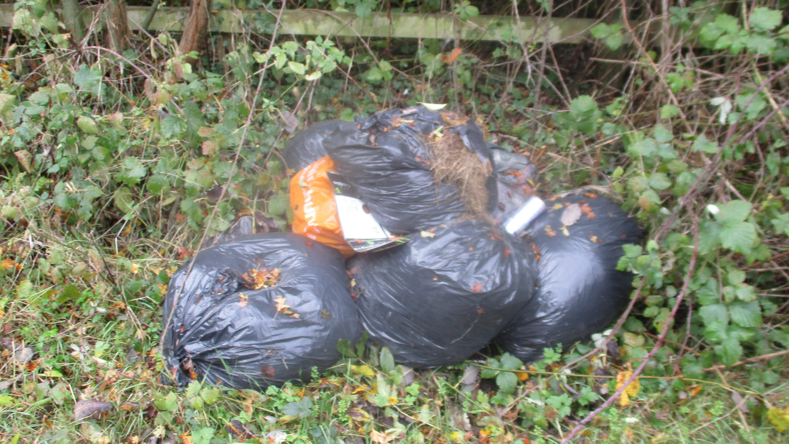 A pile of black trash bags, with one orange bag on top, illegally dumped on a grassy verge next to a wooden fence and overgrown bushes. The date "23/10/2024 12:07" is visible in the bottom right corner.