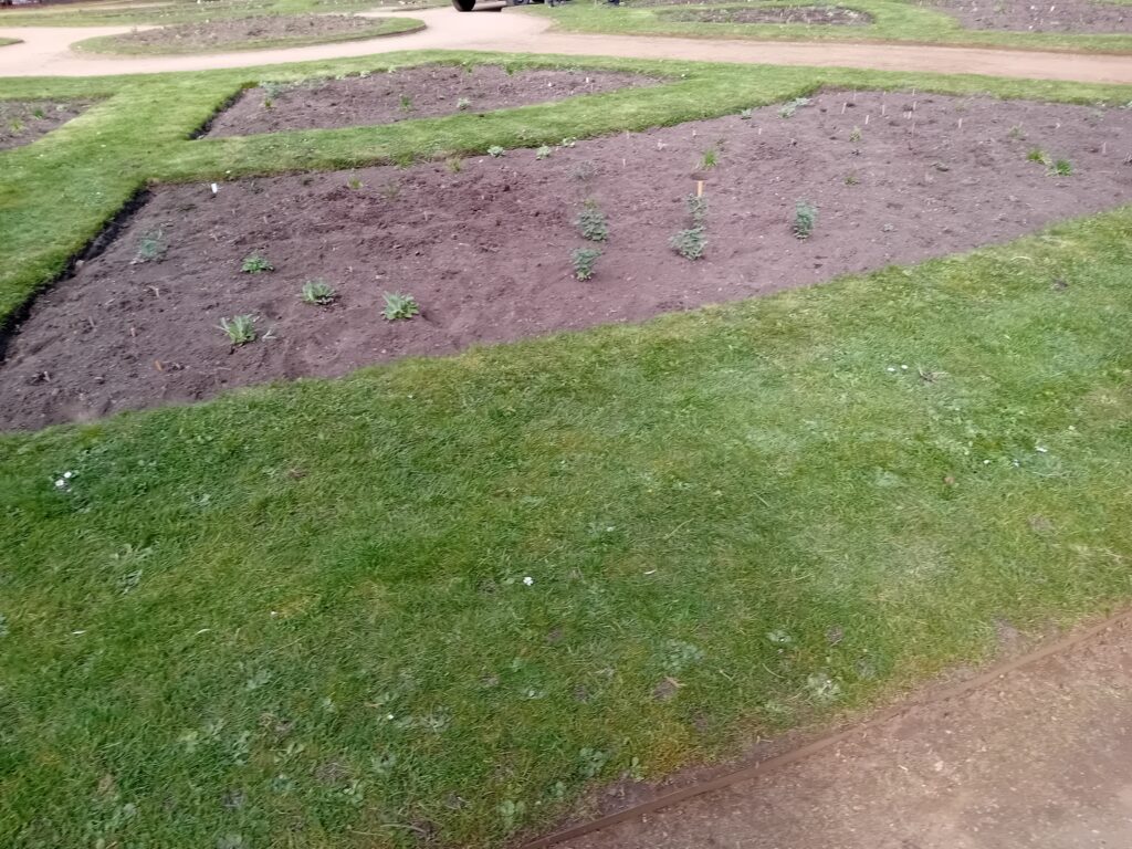 planting area  withsmall plants growing