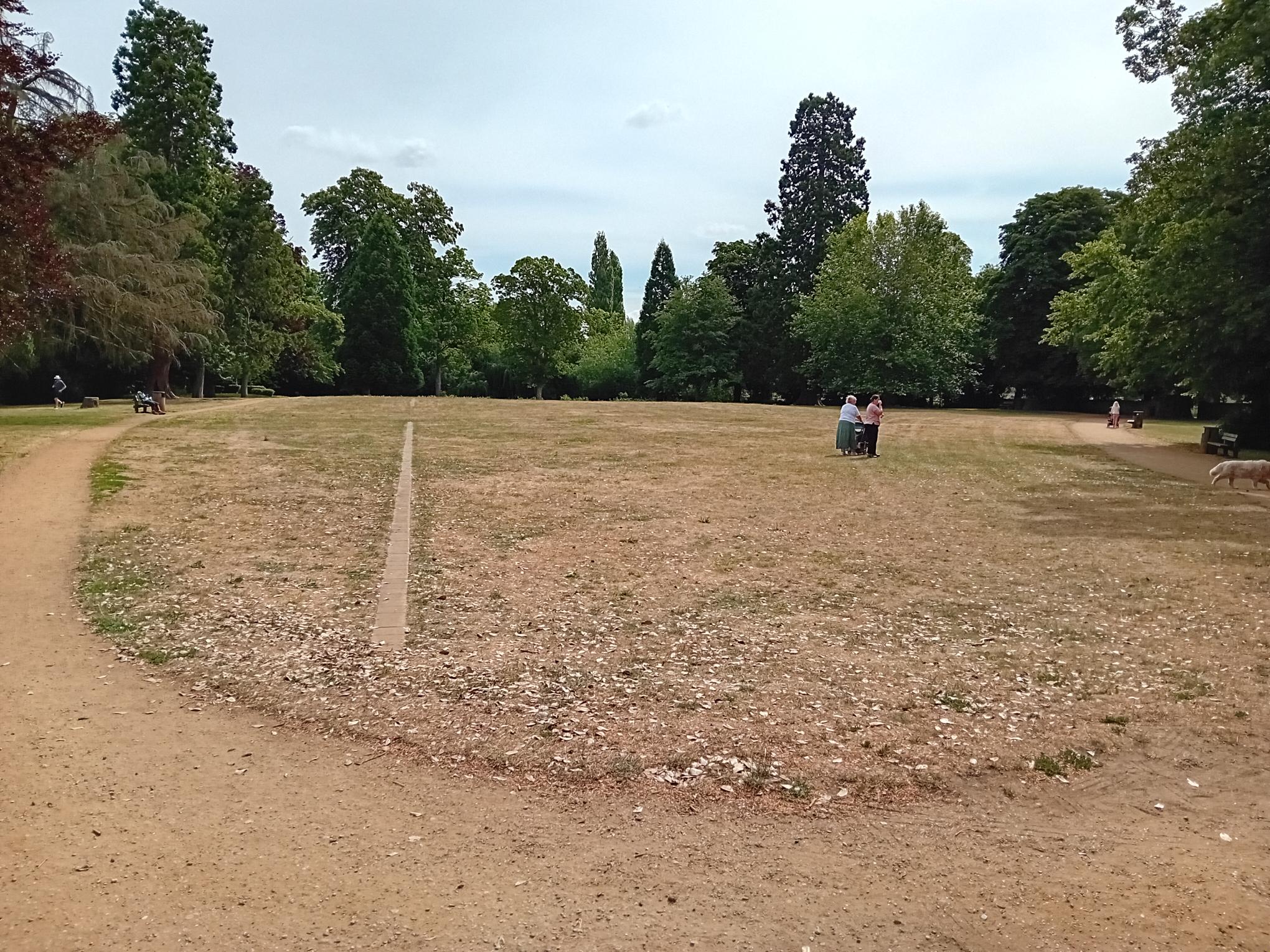parched ground